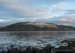 Seal reef, loch Fyne