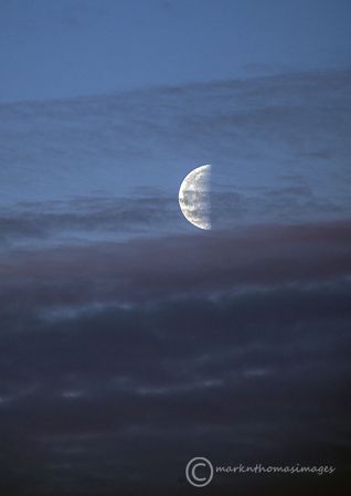 Moon at Sunrise