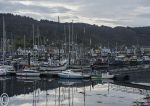 Tarbet marina