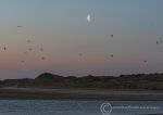 Alnmouth Beach - dawn