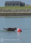 Finbar & red buoy