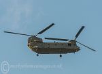 Chinook