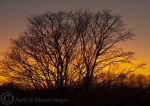 Weaver Sunset 2