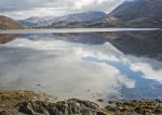 Queenie Reef, Loch Creran