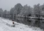 Weaver - winter reflections