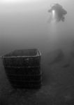 Diver & box
