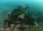 VW Beetle - Capernwray