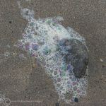 Bubbles 2 - Alnmouth Beach 