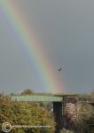 Rainbow viaduct 2