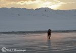 DSC_820410.jpg