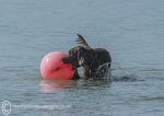 Finbar & red buoy