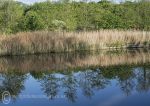 River Weaver Reflections 2