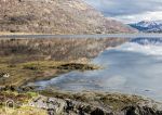 Queenie Reef, Loch Creran