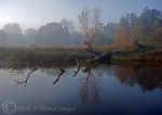 Autumn morning light