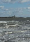 Coquet Island