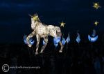 Fire Horse 10
