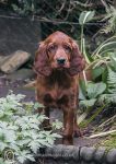 Roonagh - first day home