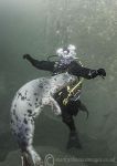 Maureen & seal pup 2