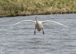 Landing 1