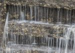 Lock gates - freshwater sponge