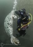 Maureen & seal pup 3