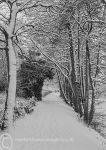 Footpath, winter 2010