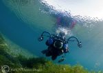 diver in shallows