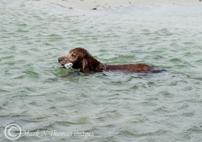 Sorcha on Omey Strand