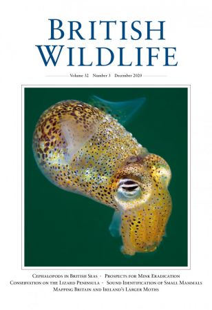 British Wildlife Magazine Cover