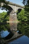 Bridge reflection