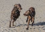 Finbar & Roonagh Feb 2014