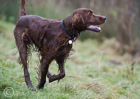 Finbar - December 2011