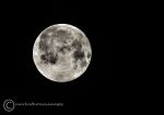 Wolf moon - January 2020