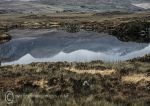 Bog road reflections 2