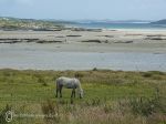 Omey strand - low water