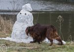 Finbar & Snowman 1