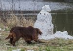 Finbar & Snowman 2