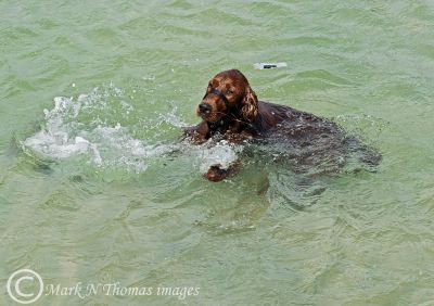 Finbar - first swimming lesson