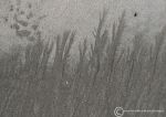 Sand patterns 3