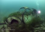 VW Beetle - Capernwray
