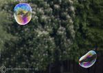 Bubbles