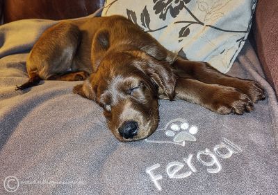 Good when asleep!