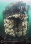 Farnes wreck 3