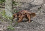 Roonagh & the Stick Game 1