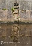Ladder Reflection - Vale Royal Locks