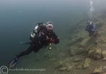 Dive buddies