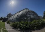 Tropical House @ Kew