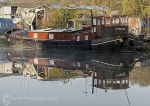 Reflections 5