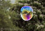 Bubble