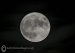 Perigee moon - Nov 2016